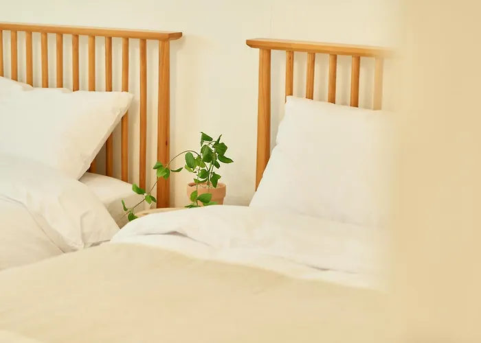 Station Arex 2br Private 명동 홍대 Ddp 公寓